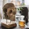 Deko-Totenkopf "Skull" Teak natur