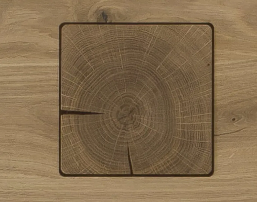 Highboard m.Holztüre 63x145cm 'Monza' Wildeiche geölt Rechts
