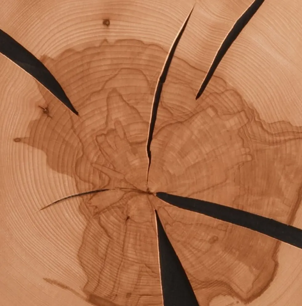 Highboard 103x135cm 'Danzig' Kernbuche geölt