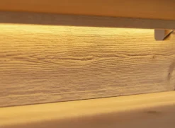 TV Element 200cm 'Triest' Wildeiche massiv Glas