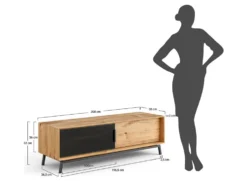 TV Element 200x50cm 'Jannik' Wildeiche massiv 2 Türen 1x Holz / 1x Glas