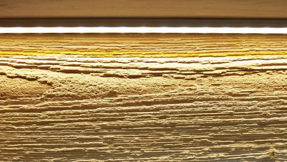 Vitrine rechts 63x207cm "Berlin" Wildeiche geölt WZ-0303