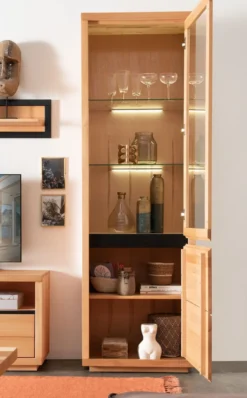 Vitrine 65x205cm 