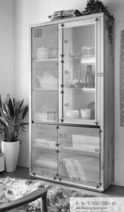 Vitrine 103x205cm 