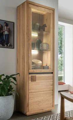 Vitrine 65x205cm 