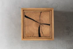 Wandregal mit Holztür 34x34cm 'Danzig II' Wildeiche massiv