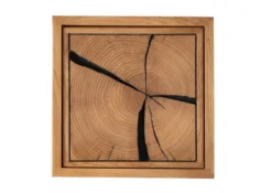 Wandregal mit Holztür 34x34cm 'Danzig II' Wildeiche massiv